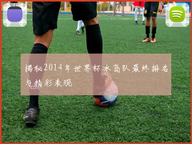 揭秘2014年世界杯冰岛队最终排名与精彩表现
