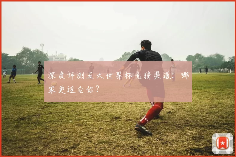深度评测五大世界杯竞猜渠道:哪家更适合你?