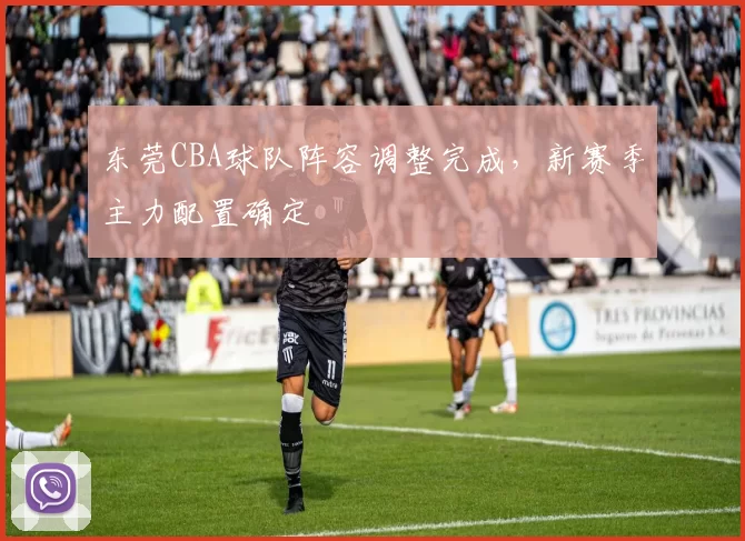 东莞CBA球队阵容调整完成，新赛季主力配置确定