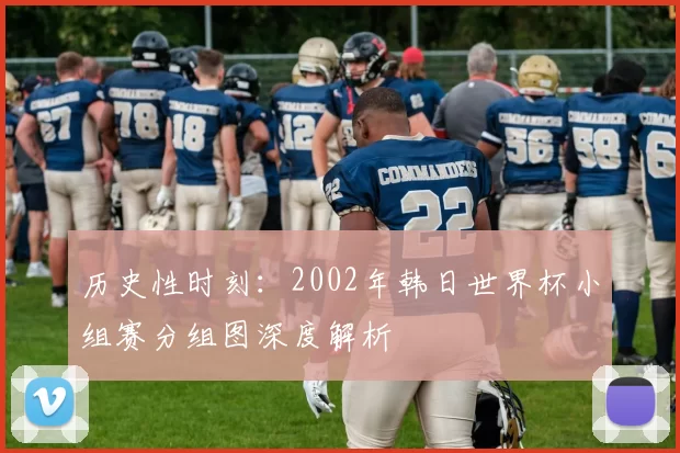 历史性时刻：2002年韩日世界杯小组赛分组图深度解析