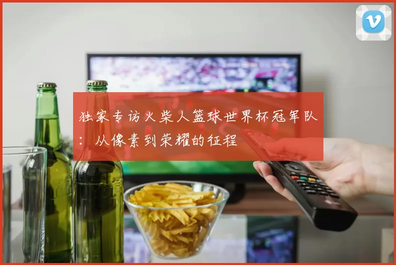 独家专访火柴人篮球世界杯冠军队：从像素到荣耀的征程