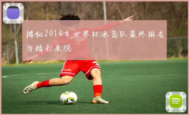 揭秘2014年世界杯冰岛队最终排名与精彩表现