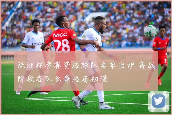 欧洲杯参赛资格球队名单出炉 备战阶段各队竞争格局初现