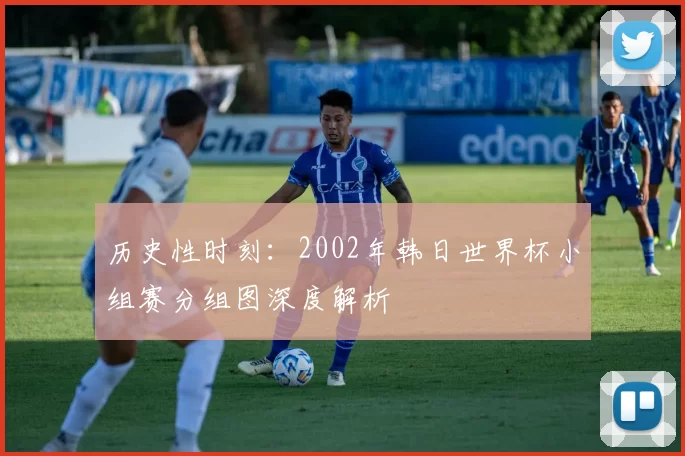 历史性时刻：2002年韩日世界杯小组赛分组图深度解析