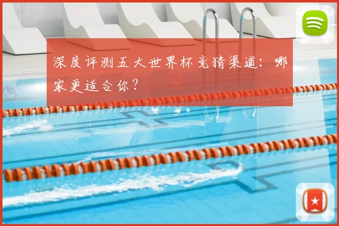深度评测五大世界杯竞猜渠道:哪家更适合你?
