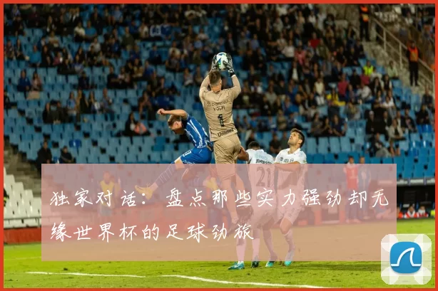 独家对话:盘点那些实力强劲却无缘世界杯的足球劲旅