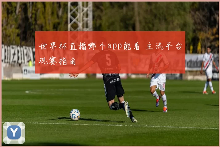 世界杯直播哪个app能看 主流平台观赛指南