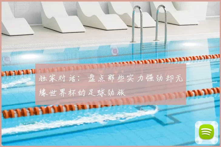 独家对话:盘点那些实力强劲却无缘世界杯的足球劲旅